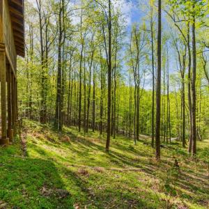 Photo #51 of 3882 Rocky Mountain Road, Forest, VA 9.5 acres