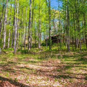 Photo #53 of 3882 Rocky Mountain Road, Forest, VA 9.5 acres