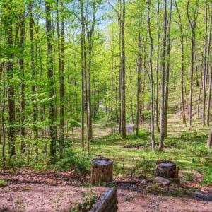 Photo #57 of 3882 Rocky Mountain Road, Forest, VA 9.5 acres