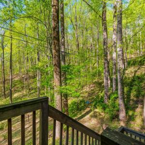 Photo #48 of 3882 Rocky Mountain Road, Forest, VA 9.5 acres