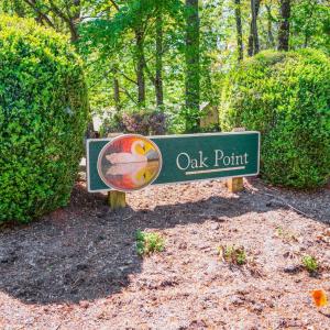 Photo #42 of 424 Oak Point Road, Forest, VA 0.0 acres