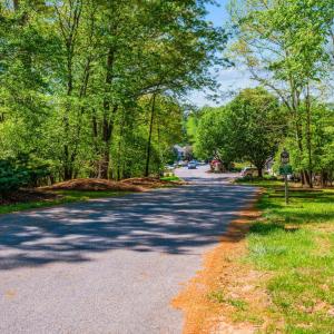 Photo #41 of 424 Oak Point Road, Forest, VA 0.0 acres