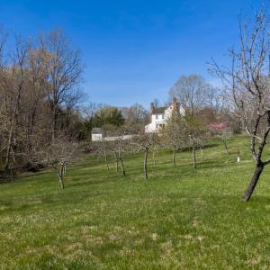 Photo #87 of 1651 Fox Hill Road, Lynchburg, VA 8.9 acres