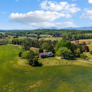 Photo #60 of 1250 Lick Run Farm Road, Forest, VA 1.9 acres