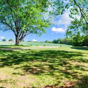 Photo #58 of 1250 Lick Run Farm Road, Forest, VA 1.9 acres