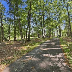 Photo #56 of 107 Keeneland Court, Lynchburg, VA 2.7 acres