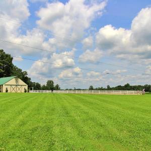 Photo #82 of 1147 Union Church Road, Gladstone, VA 42.1 acres