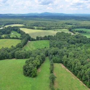 Photo #51 of 1147 Union Church Road, Gladstone, VA 42.1 acres