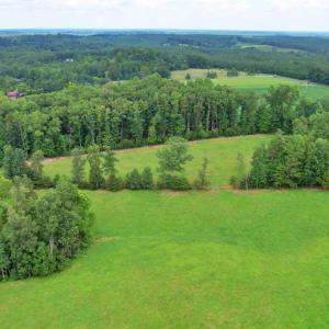 Photo #60 of 1147 Union Church Road, Gladstone, VA 42.1 acres