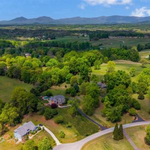 Photo #91 of 1389 South Oak Lawn Drive, Forest, VA 1.6 acres