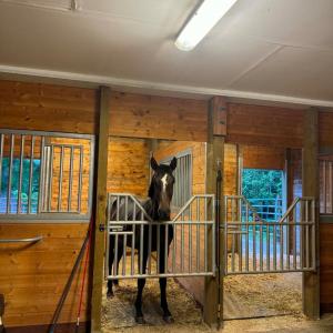 Photo #58 of 651 Scott Jacobs Memorial Drive, Gretna, VA 24.8 acres