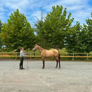 Photo #56 of 651 Scott Jacobs Memorial Drive, Gretna, VA 24.8 acres