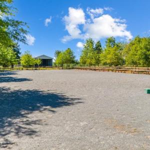 regulation size dressage arena