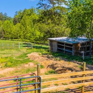 chicken coop