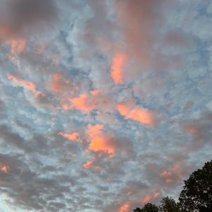 Photo #84 of 141 Cradon Hills, Amherst, VA 30.0 acres