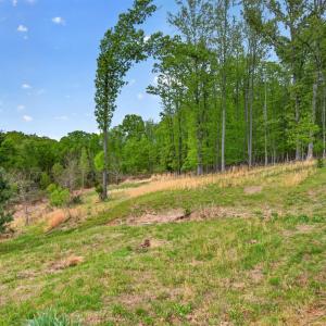 Photo #66 of 141 Cradon Hills, Amherst, VA 30.0 acres