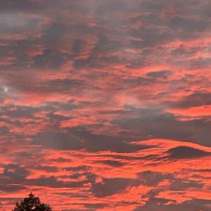 Photo #85 of 141 Cradon Hills, Amherst, VA 30.0 acres