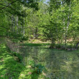 Photo #72 of 141 Cradon Hills, Amherst, VA 30.0 acres
