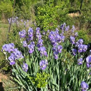 Photo #92 of 141 Cradon Hills, Amherst, VA 30.0 acres
