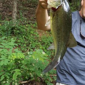 Photo #96 of 141 Cradon Hills, Amherst, VA 30.0 acres