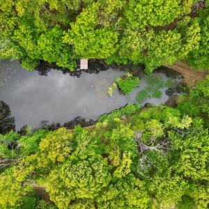 Photo #81 of 141 Cradon Hills, Amherst, VA 30.0 acres