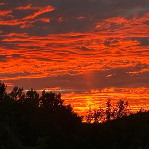 Photo #84 of 141 Cradon Hills, Amherst, VA 30.0 acres