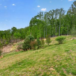 Photo #65 of 141 Cradon Hills, Amherst, VA 30.0 acres