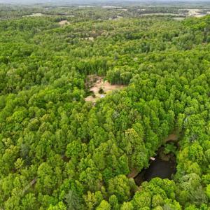 Photo #82 of 141 Cradon Hills, Amherst, VA 30.0 acres