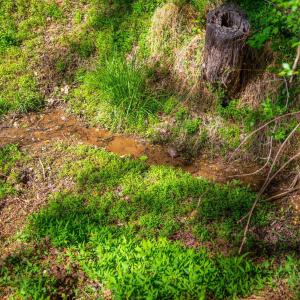 Photo #26 of 140 Turtle Creek Road, Lynchburg, VA 0.4 acres