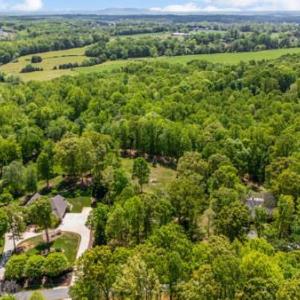 Photo #58 of 217 Millspring Drive, Forest, VA 2.6 acres