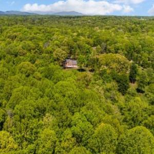 Photo #61 of 217 Millspring Drive, Forest, VA 2.6 acres