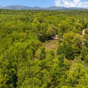 Photo #48 of 217 Millspring Drive, Forest, VA 2.6 acres