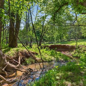 Photo #29 of 316 Quail Ridge Drive, Forest, VA 1.4 acres