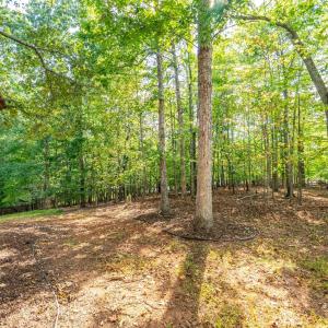 Photo #79 of 1547 Gilfield Drive, Forest, VA 1.1 acres