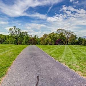 Photo #75 of 3453 Roaring Run Road, Goode, VA 2.6 acres