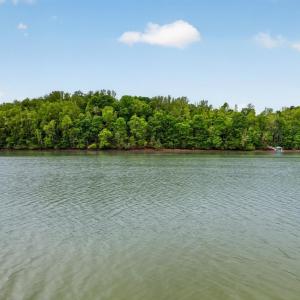 Photo #47 of 1176 Leesville Lake Drive, Pittsville, VA 5.0 acres