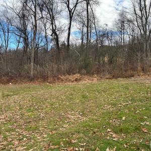 Photo #25 of 1959 Sweet Hollow Road, Big Island, VA 2.0 acres