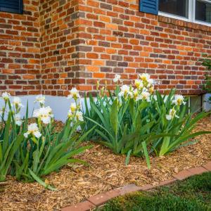 Photo #46 of 7205 Richland Drive, Lynchburg, VA 0.4 acres