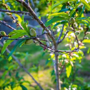 Photo #41 of 7205 Richland Drive, Lynchburg, VA 0.4 acres