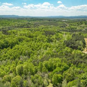 Photo #67 of 102 Slow Water Ct, Sandy Level, VA 5.0 acres