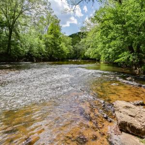 Photo #42 of 102 Slow Water Ct, Sandy Level, VA 5.0 acres
