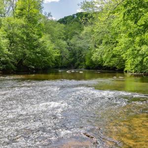 Photo #43 of 102 Slow Water Ct, Sandy Level, VA 5.0 acres