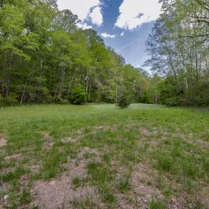 Photo #46 of 102 Slow Water Ct, Sandy Level, VA 5.0 acres