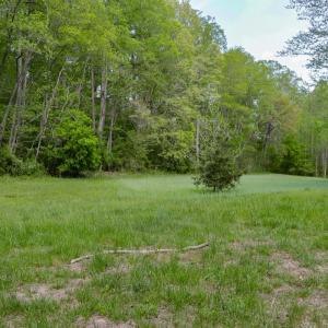 Photo #45 of 102 Slow Water Ct, Sandy Level, VA 5.0 acres