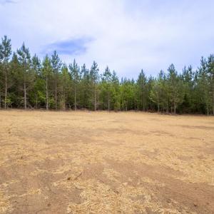 Photo #54 of 16519 Richmond Hwy, Pamplin, VA 2.2 acres