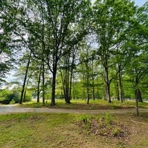 Photo #35 of 465 Wileman Road, Lynch Station, VA 2.1 acres