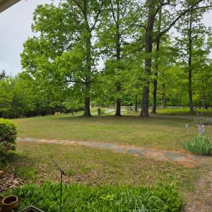 Photo #38 of 465 Wileman Road, Lynch Station, VA 2.1 acres