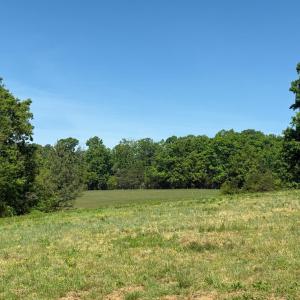 Photo #38 of 9009 Stonewall Road, Appomattox, VA 2.2 acres
