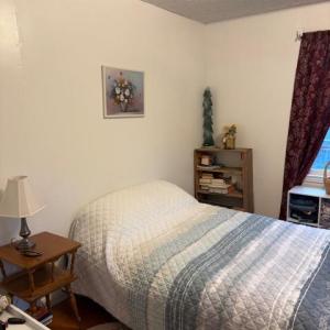 Photo #15 of 173 Tyree Circle, Madison Heights, VA 1.8 acres