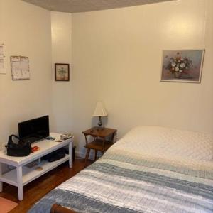 Photo #16 of 173 Tyree Circle, Madison Heights, VA 1.8 acres